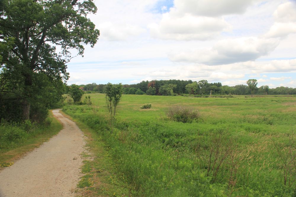 Outlook