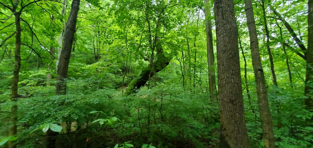 Outlook