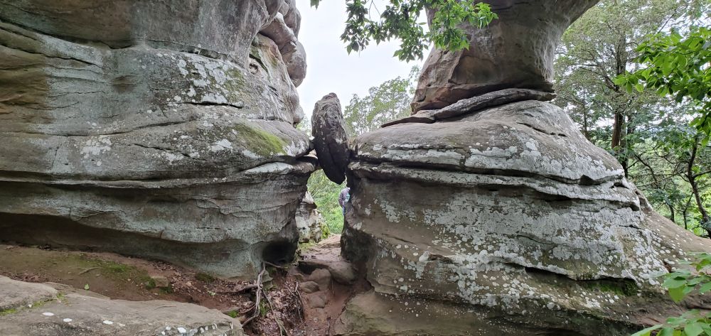 Outlook