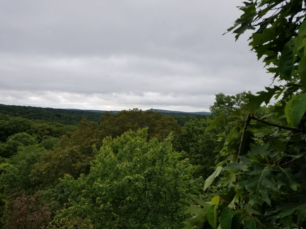 Outlook