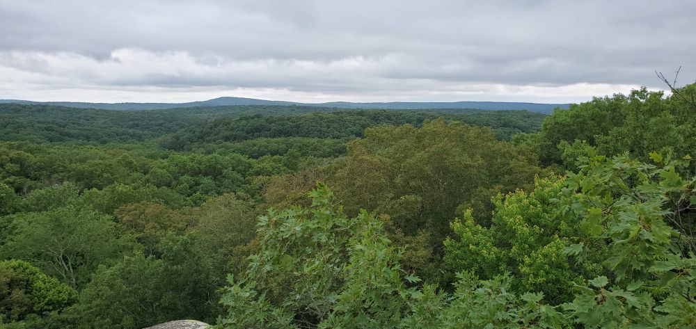Outlook