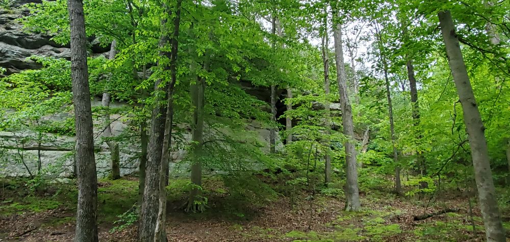 Outlook