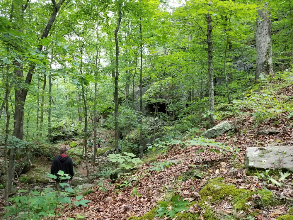 Outlook