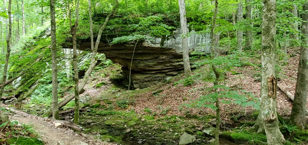 Outlook