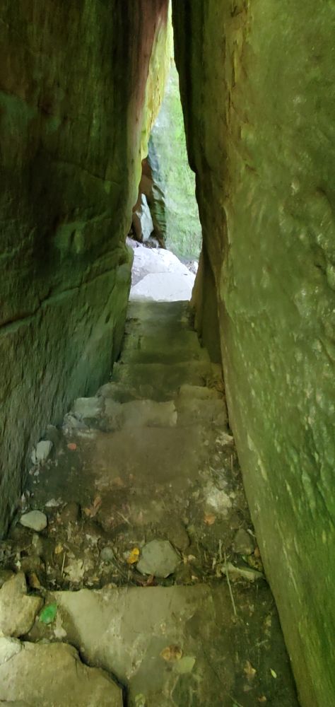 Outlook