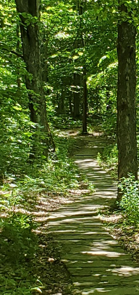 Outlook