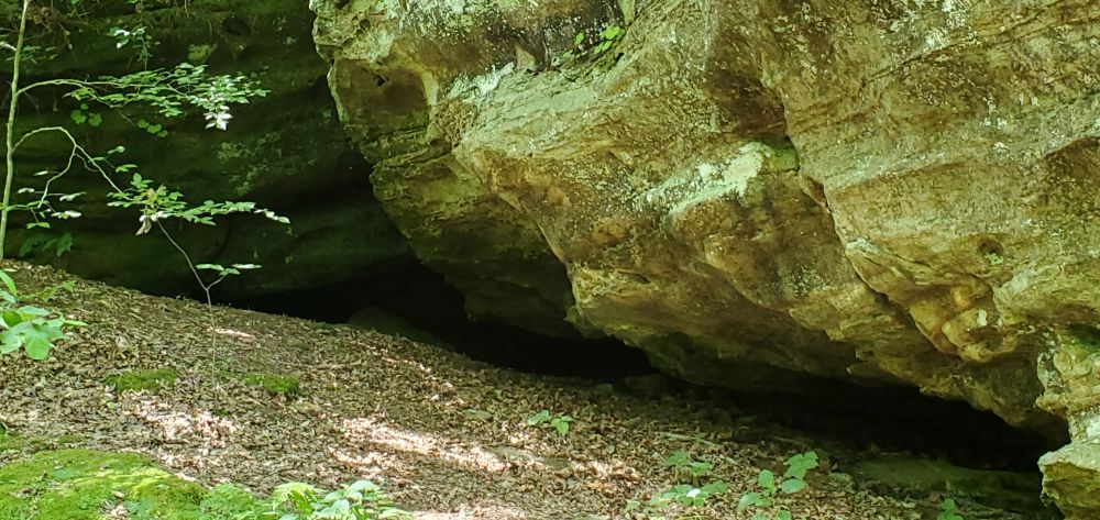 Outlook