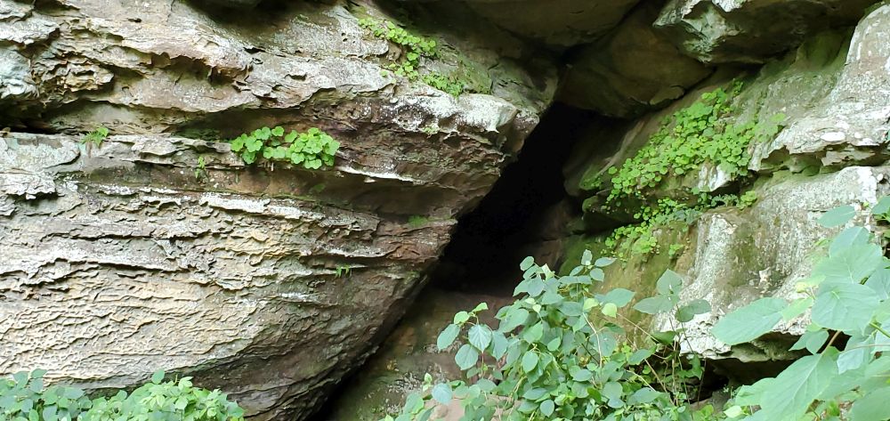 Outlook
