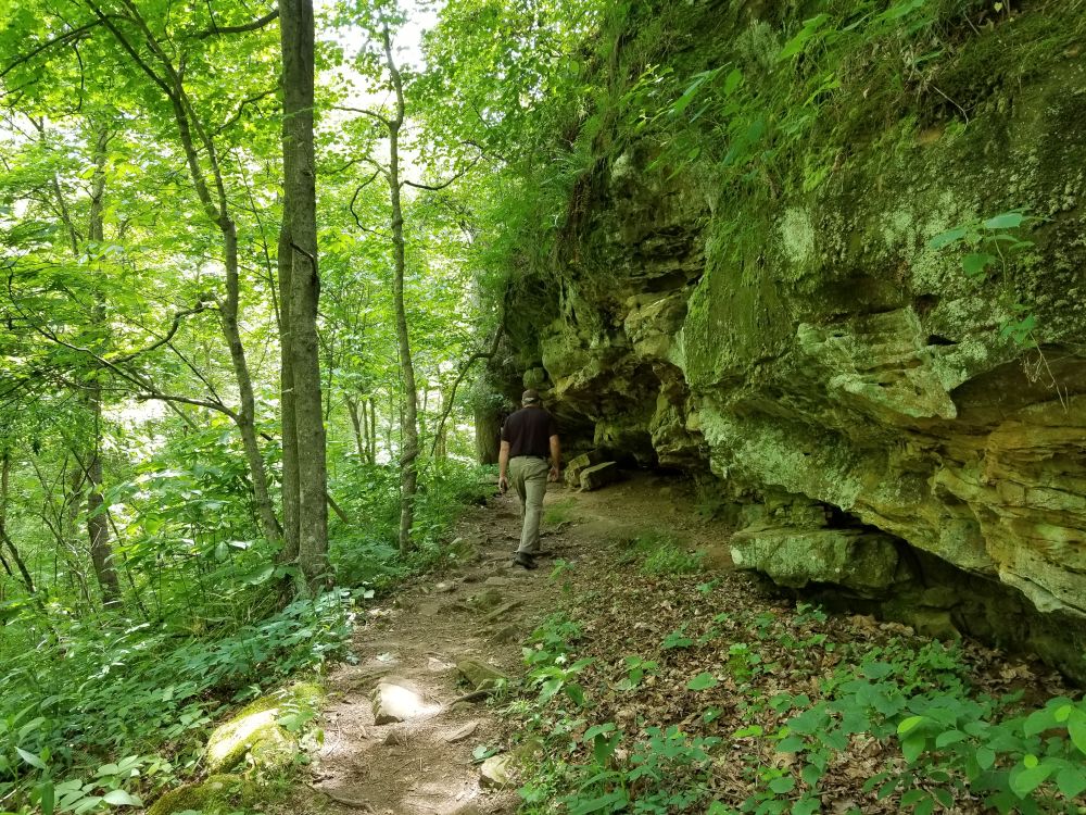 Outlook