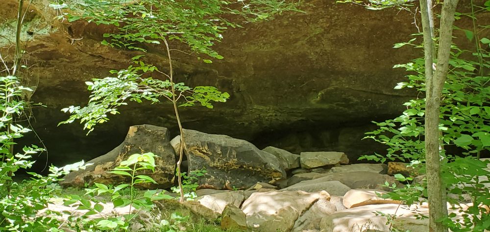 Outlook