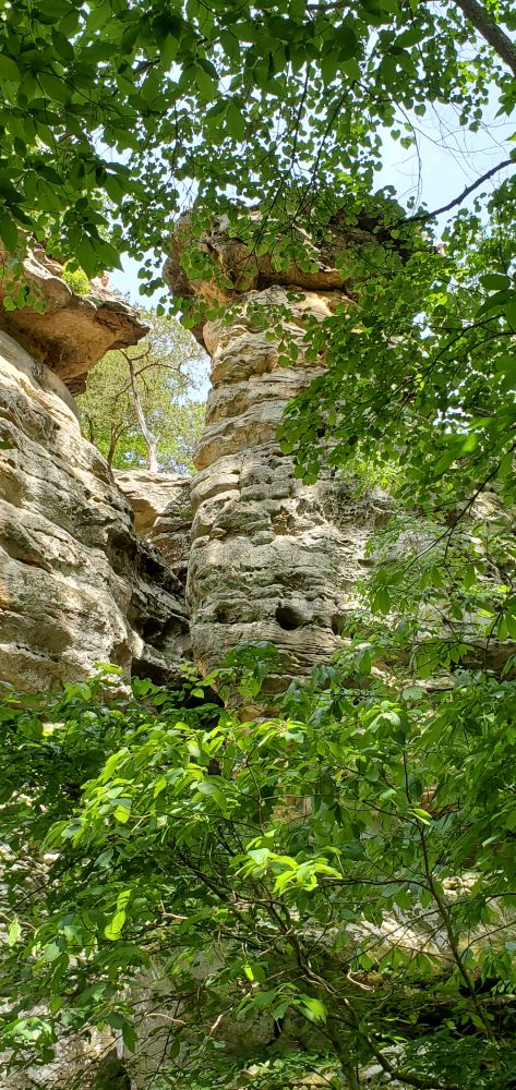Outlook