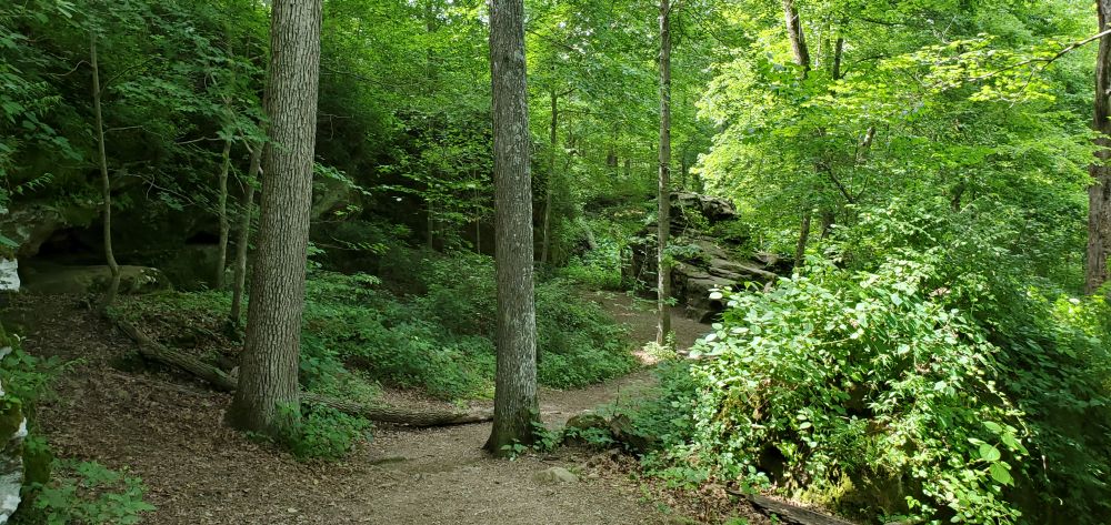 Outlook