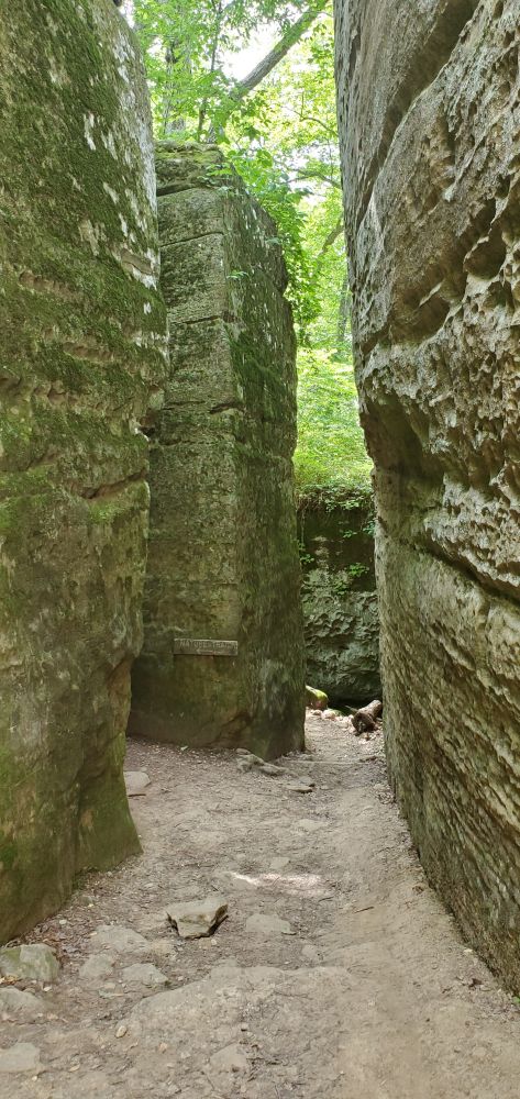 Outlook