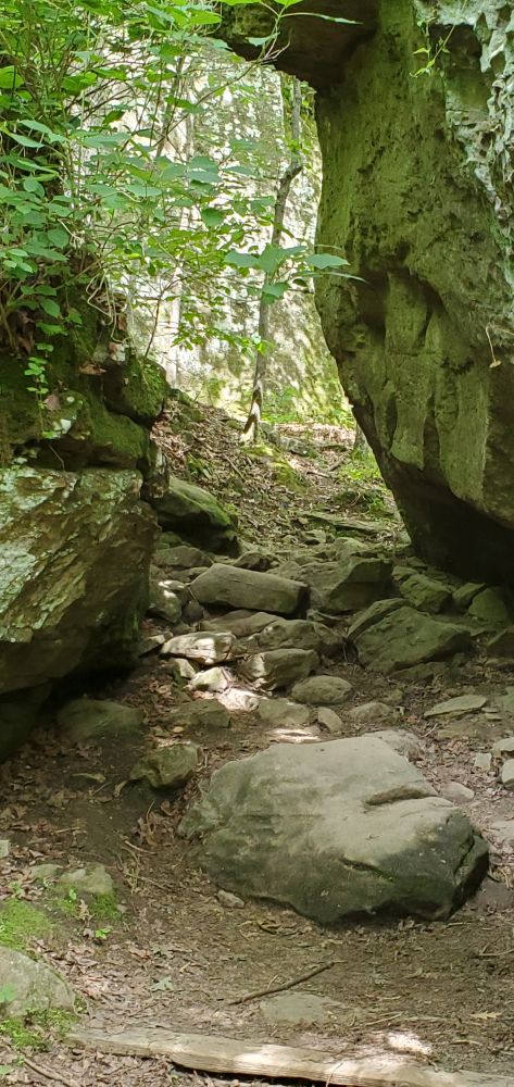 Outlook