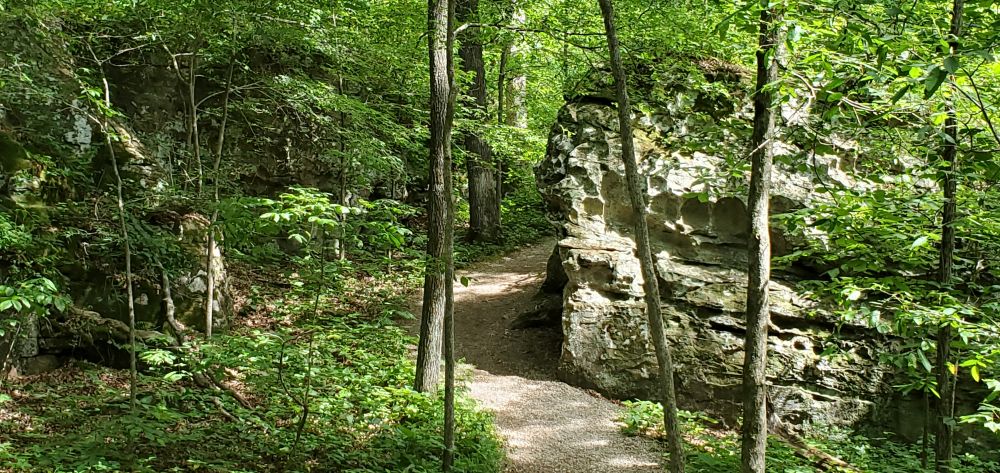 Outlook