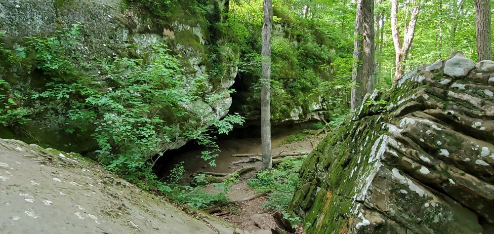 Outlook