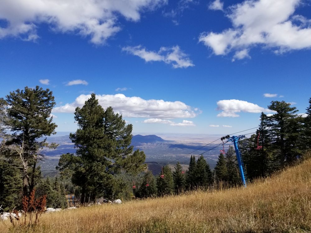 Outlook