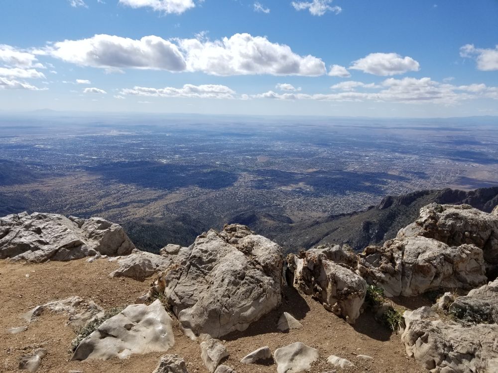 Outlook