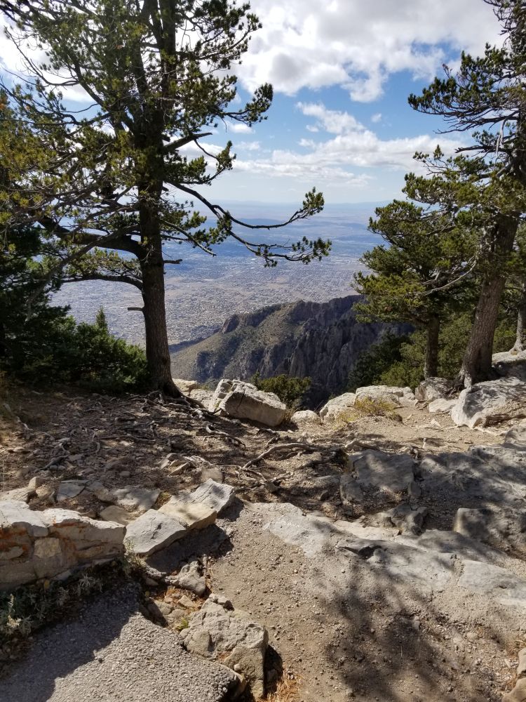 Outlook