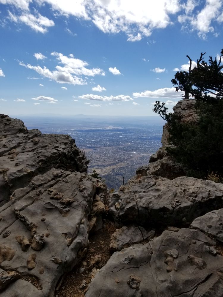 Outlook