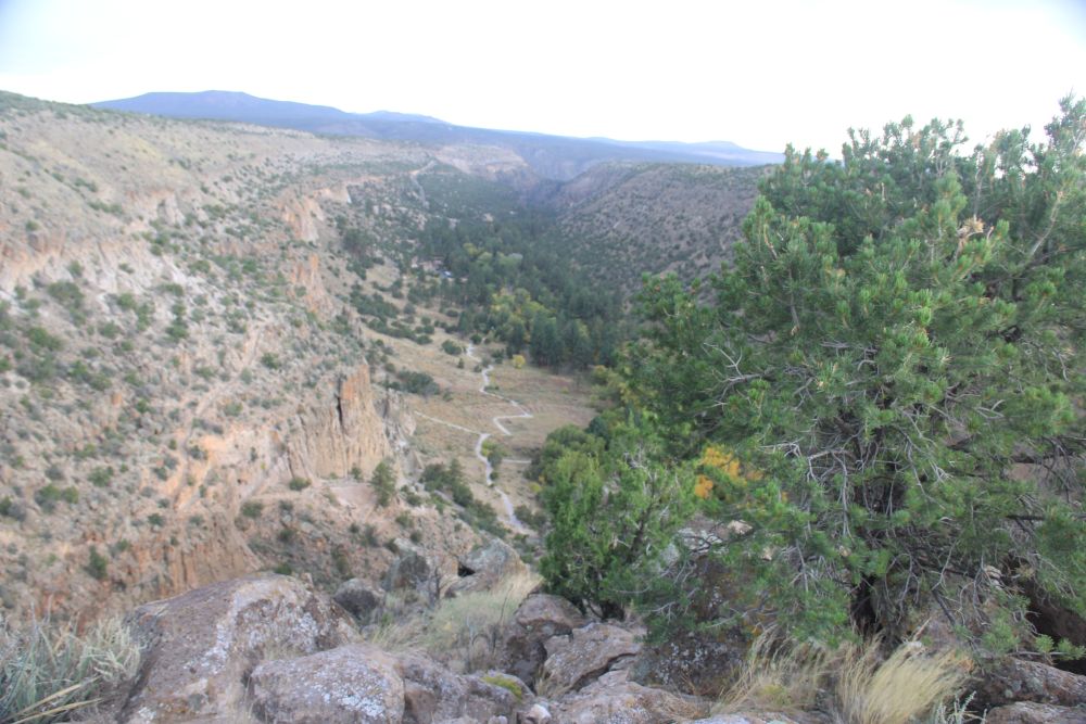 Outlook