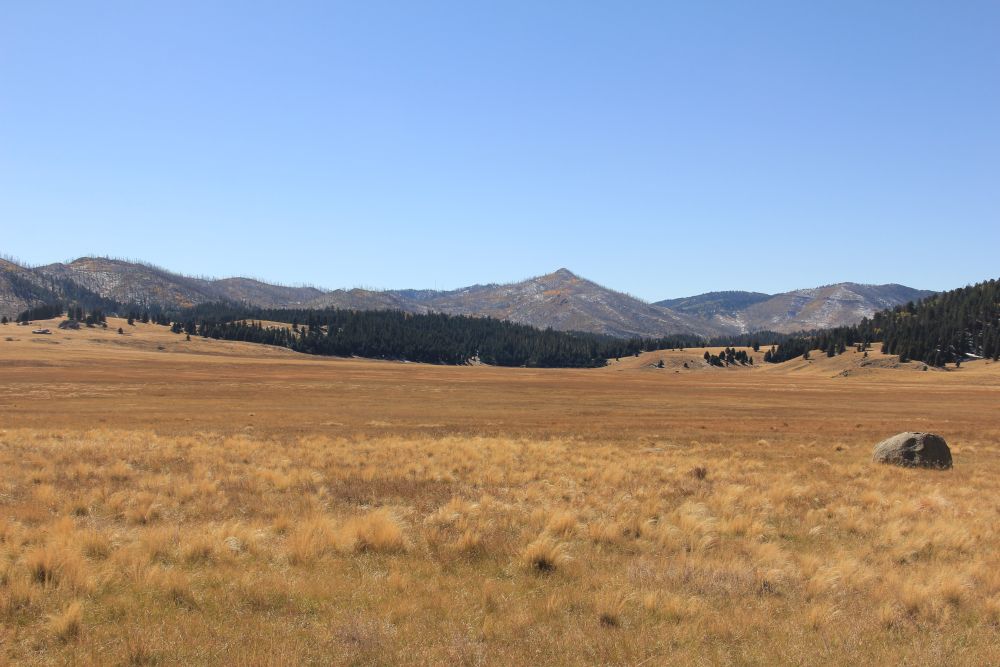 Outlook