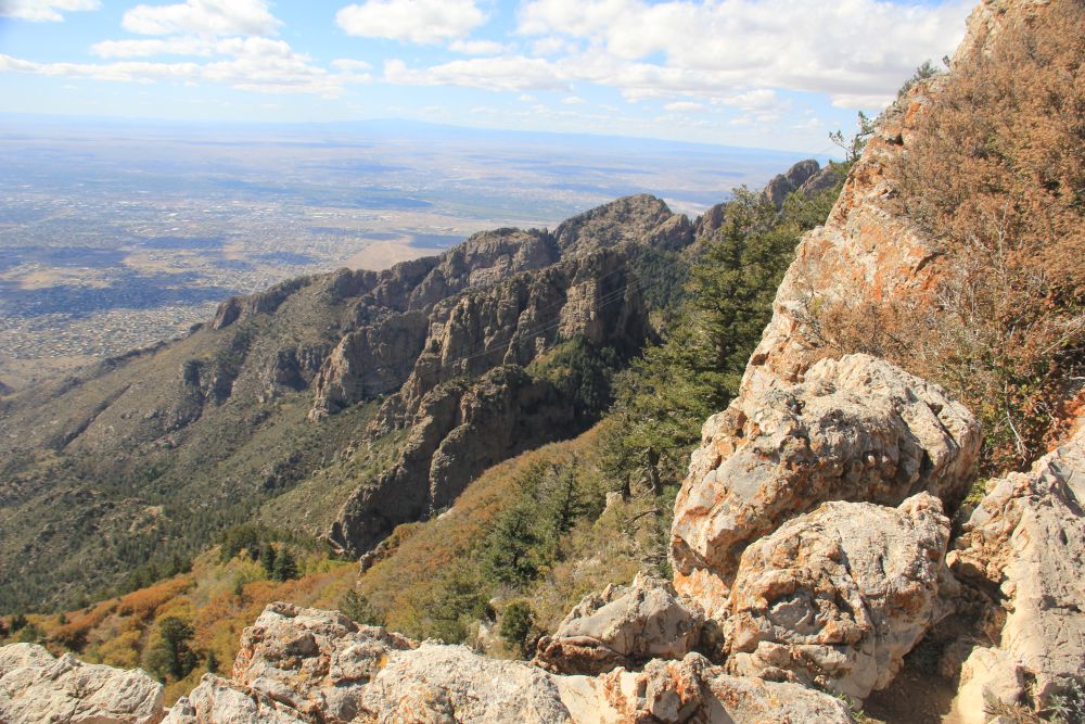 Outlook