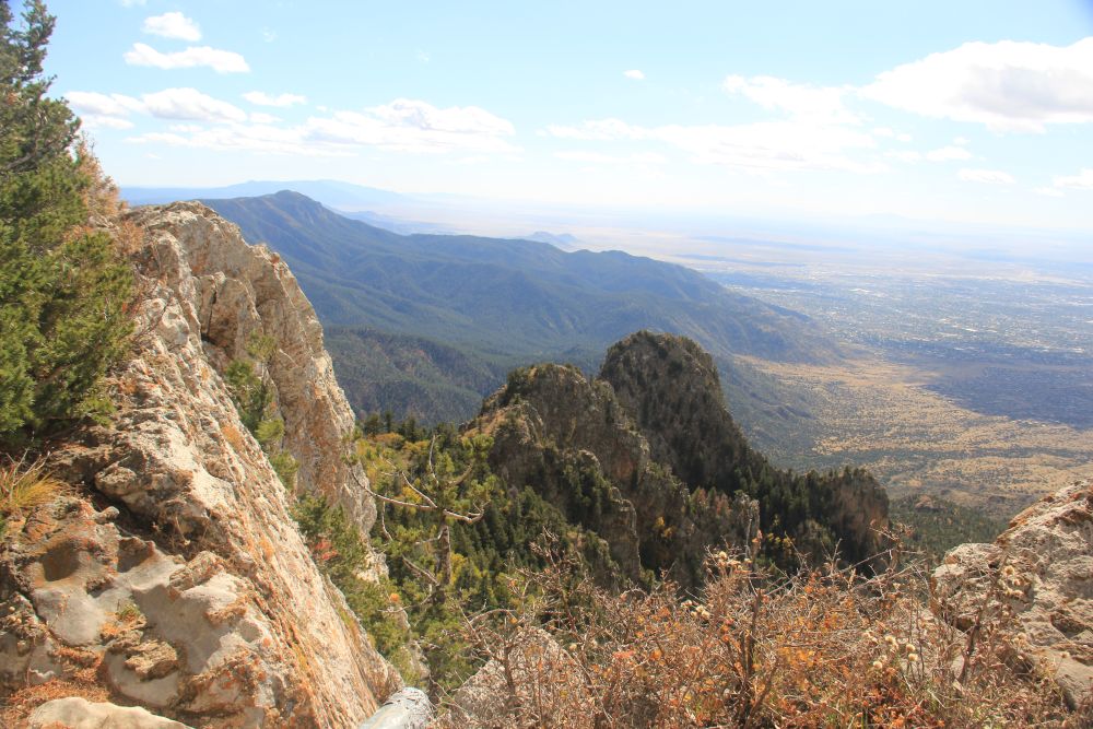 Outlook
