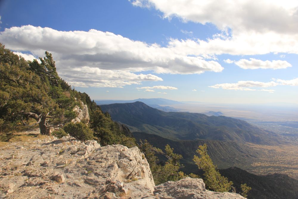 Outlook