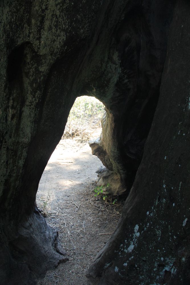 Outlook