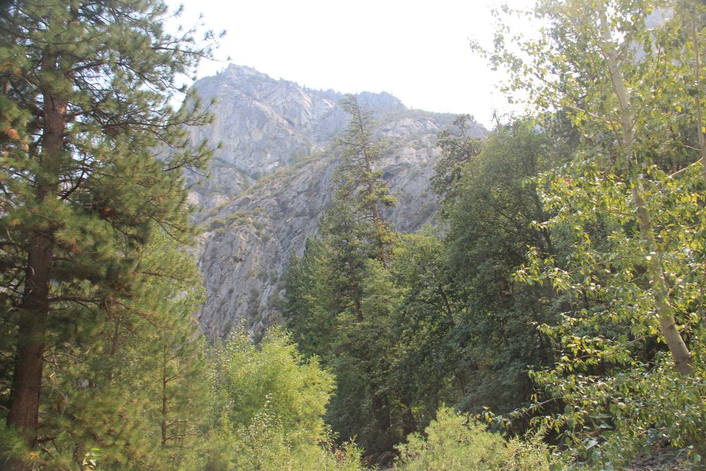 Outlook