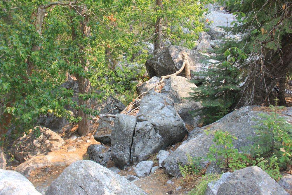 Outlook