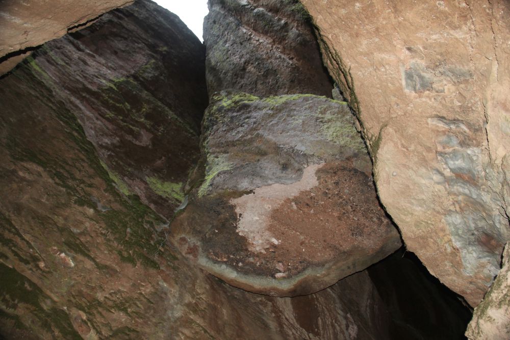 Outlook