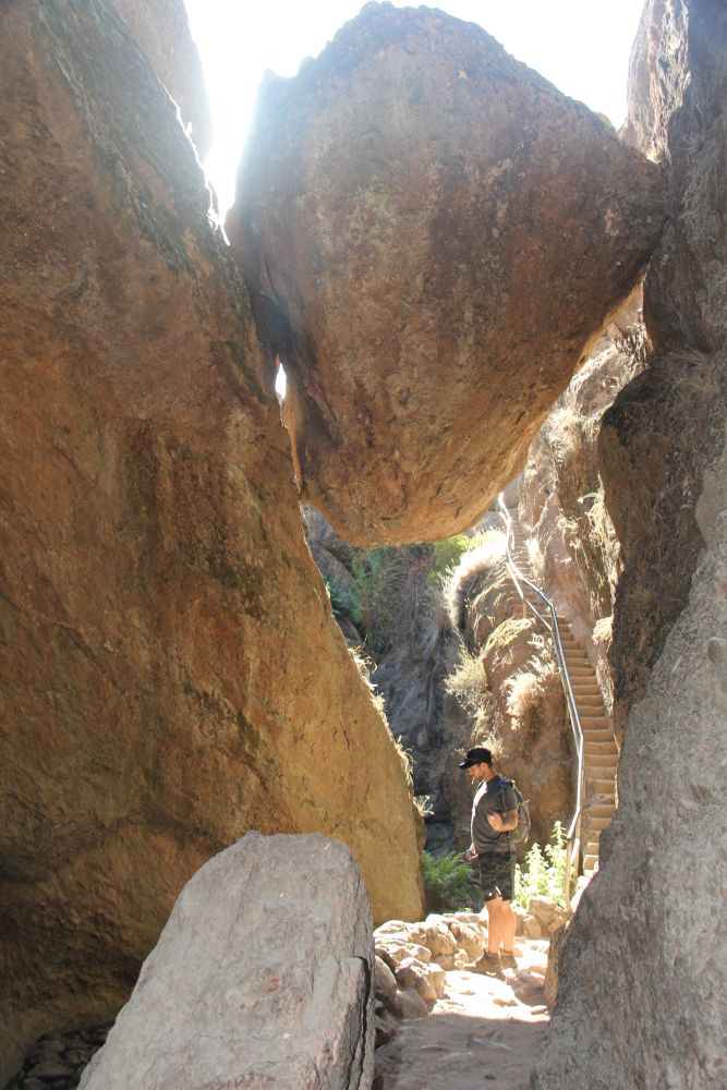 Outlook