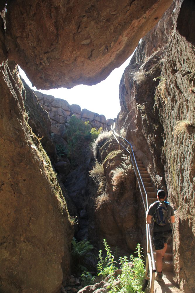 Outlook