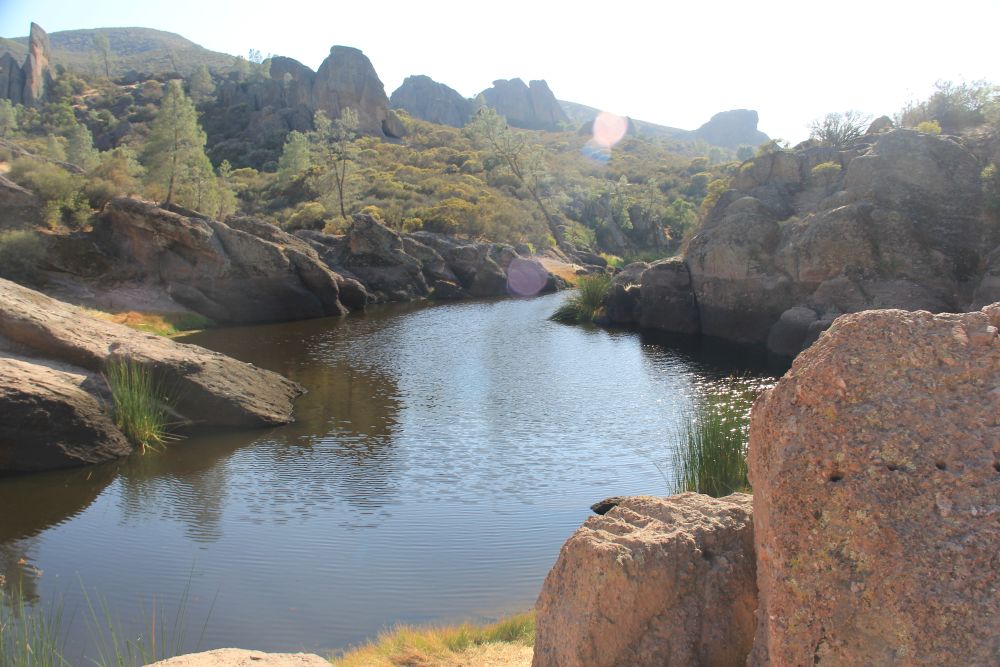 Outlook