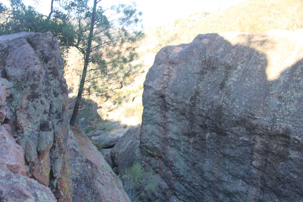 Outlook