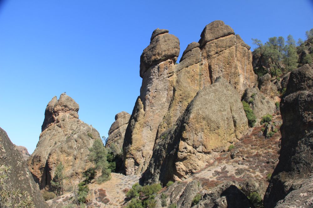 Outlook