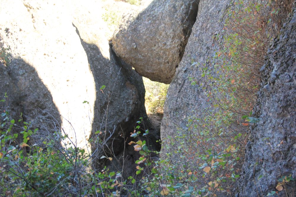 Outlook