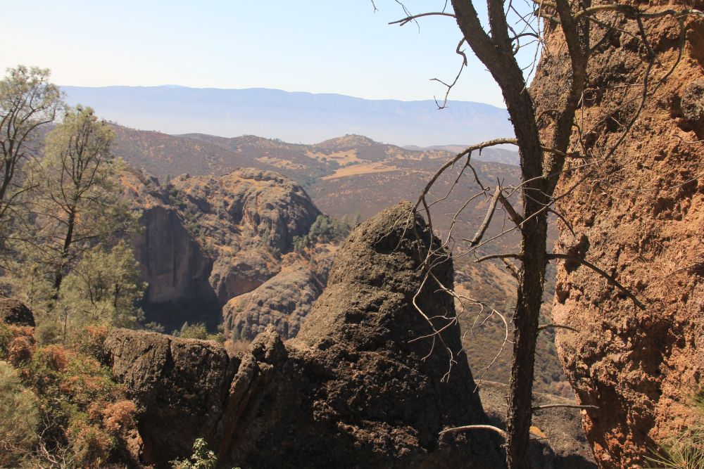 Outlook
