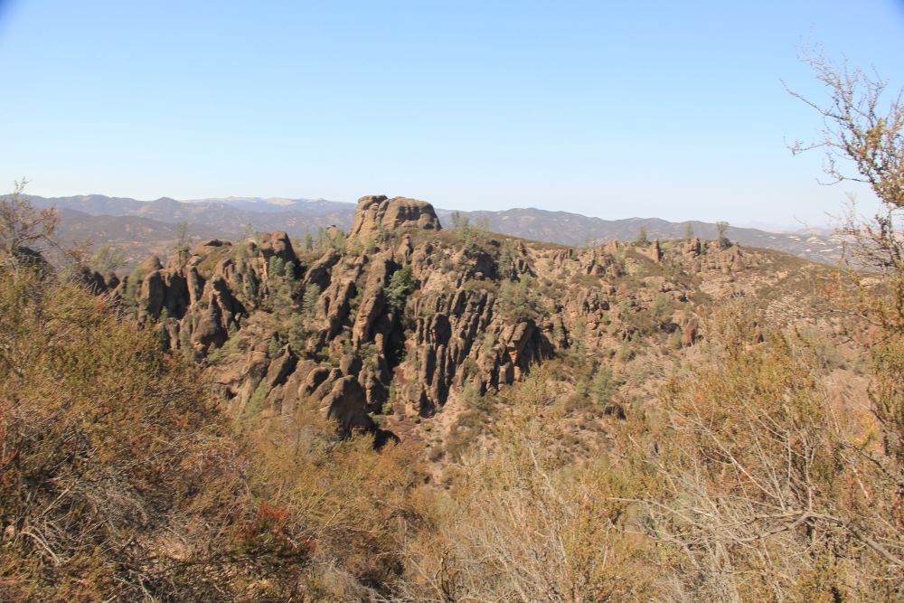 Outlook