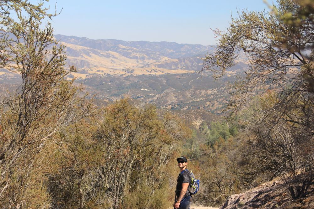 Outlook
