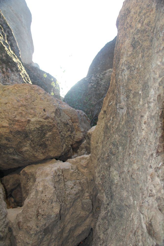 Outlook