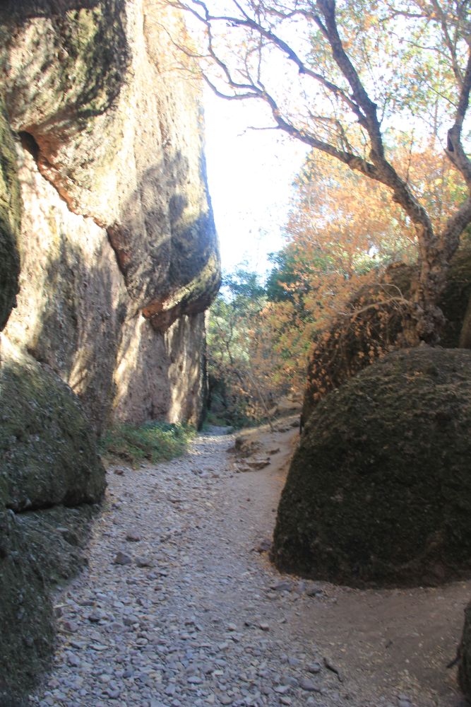 Outlook