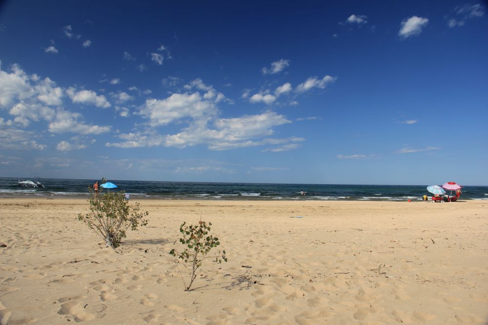 Outlook