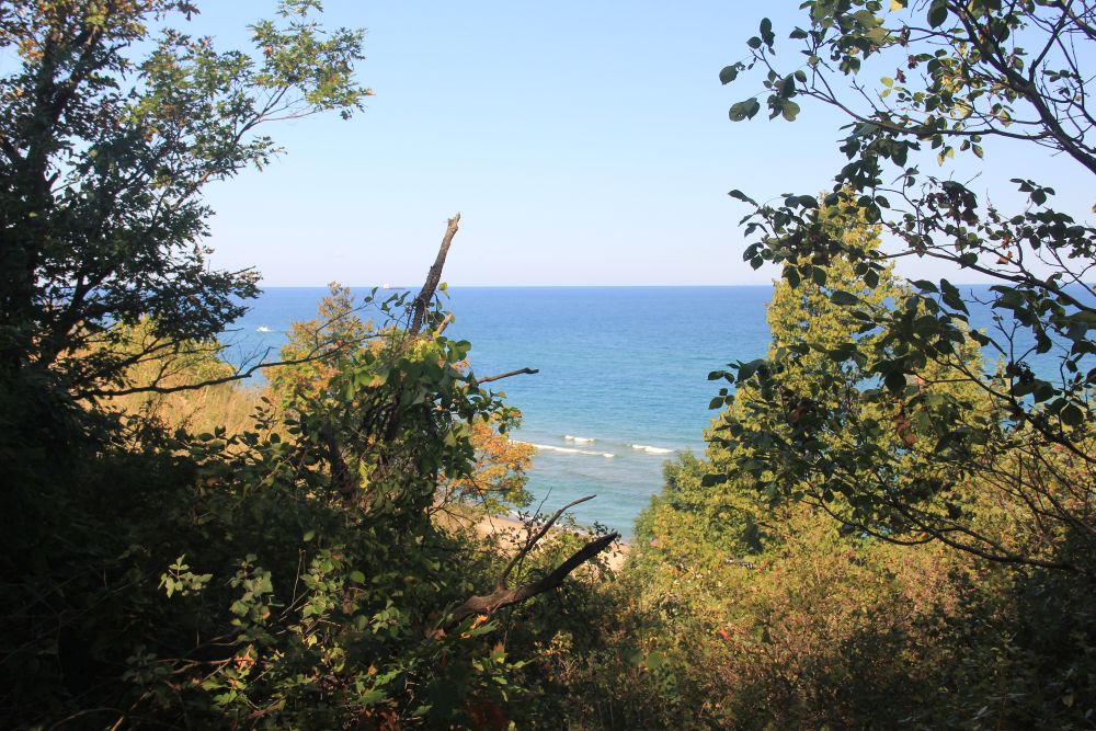 Outlook
