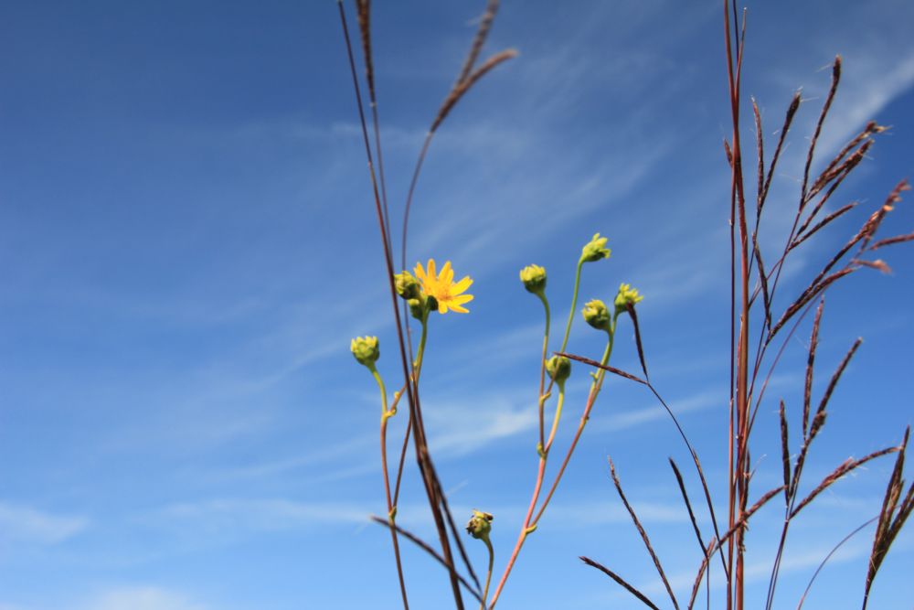 Outlook