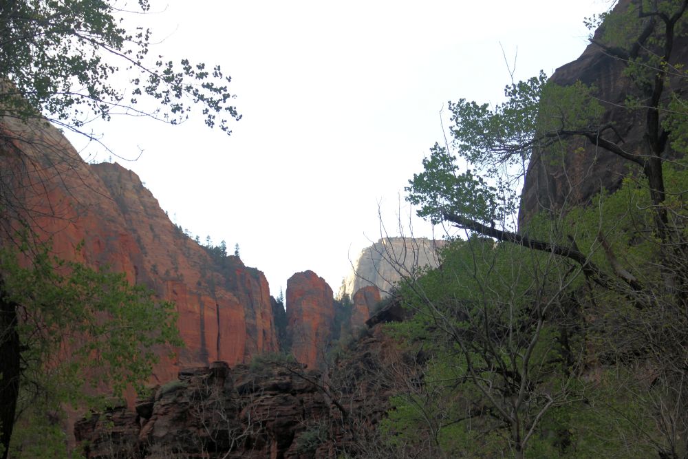 Outlook