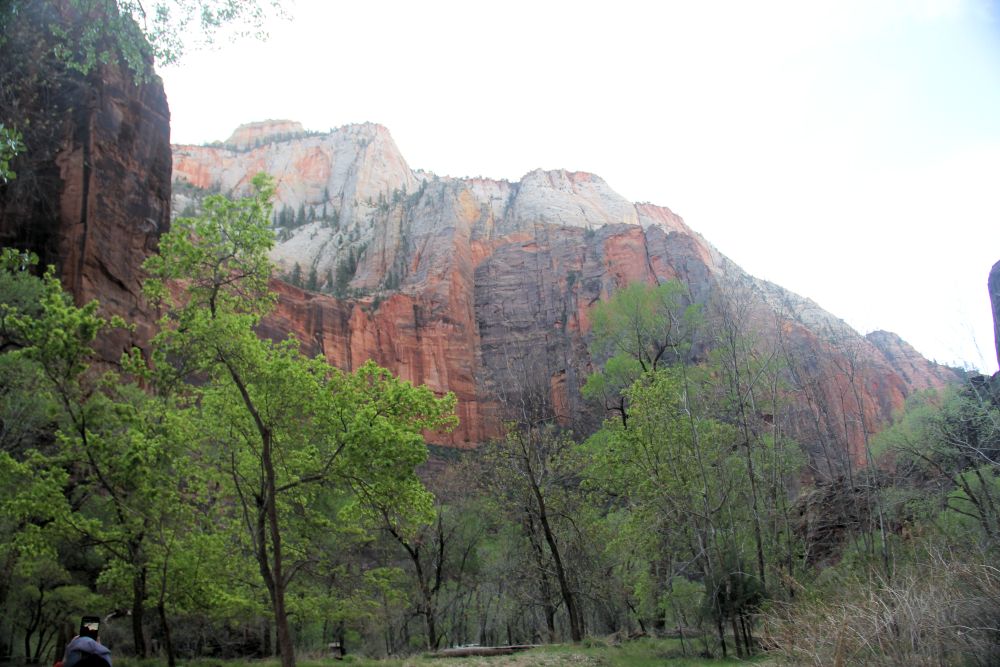 Outlook