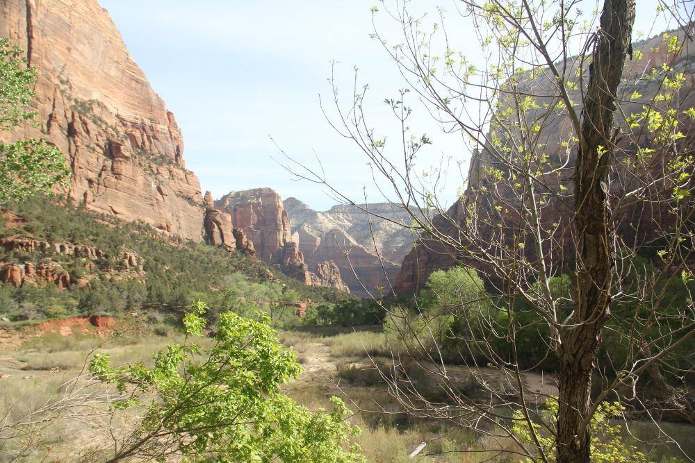 Outlook